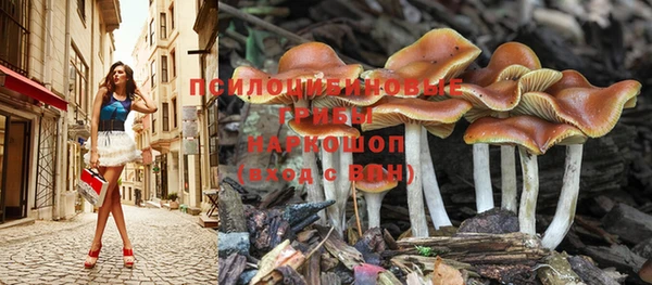 эйфоретик Ладушкин