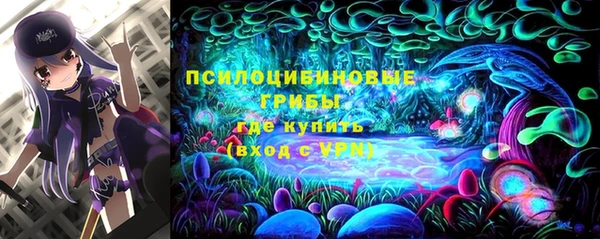 2c-b Лагань