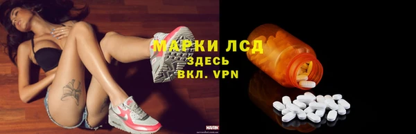 ECSTASY Липки