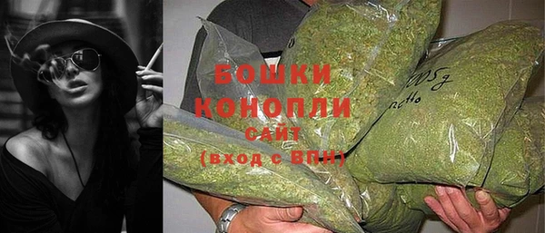 эйфоретик Ладушкин