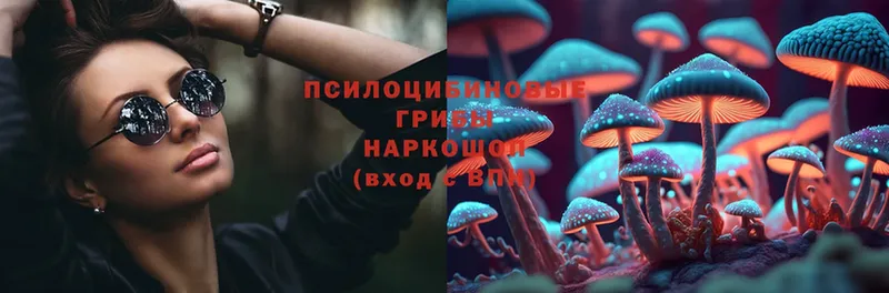 Галлюциногенные грибы Cubensis  Кущёвская 