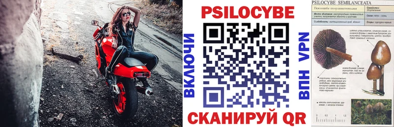 Псилоцибиновые грибы прущие грибы  хочу   Кущёвская 